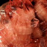 Rhodochrosite, ManganiteMina N'chwaning I, Zona minera N'Chwaning, Kuruman, Kalahari manganese field (KMF), Provincia Septentrional del Cabo, Sudáfrica64x37x27mm (Author: Fiebre Verde)