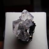 Fluorita<br />Mina Elmwood, Carthage, Distrito Central Tennessee Ba-F-Pb-Zn, Condado Smith, Tennessee, USA<br />20x20 mm<br /> (Autor: Ignacio)
