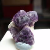 Fluorita<br />Yacimiento Pine Canyon, Montes West Burro, Distrito Burro Mountains, Condado Grant, New Mexico, USA<br />20x20 mm<br /> (Autor: Ignacio)
