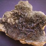 Ferroactinolita-Tremolita (Serie) y Prehnita<br />Cantera Minera I, Cerro de los Serranos, Lebrija, Comarca Bajo Guadalquivir, Sevilla, Andalucía, España<br />10,5 x 10 x 4 cm<br /> (Autor: Antonio Alcaide)