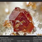 Sphalerite and Pyrite<br />Montdardier, Le Vigan, Gard Department, Occitanie, France<br />fov 3.6 mm<br /> (Author: ploum)