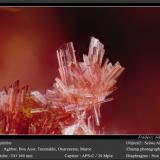 Erythrite<br />Aghbar Mine (Arhbar Mine), Bou Azzer mining district, Zagora Province, Drâa-Tafilalet Region, Morocco<br />fov 1.4 mm<br /> (Author: ploum)