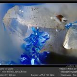 Azurite on Quartz<br />Mont Chemin, Martigny, Wallis (Valais), Switzerland<br />fov 0.6 mm<br /> (Author: ploum)