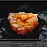 Vanadinite on GoethiteTaouz, Er Rachidia Province, Drâa-Tafilalet Region, Moroccofov 7 mm (Author: ploum)