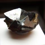 Magnetita<br />Cerro Huañaquino, Paco Grande, Provincia Tomás Frías, Departamento Potosí, Bolivia<br />25x15 mm<br /> (Autor: Ignacio)