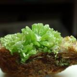 Piromorfita<br />Zona Yangshuo / Laohu, Montes Haiyang, Prefectura Guilin, Región Autónoma Guangxi Zhuang, China<br />35x20 mm<br /> (Autor: Ignacio)