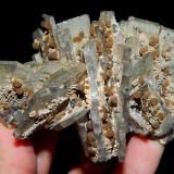 Siderite (variety spherosiderite) on Barite<br />Baia Sprie Mine, Baia Sprie, Maramures, Romania<br />9.5 x 4 cm<br /> (Author: Deyu)