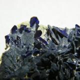 Azurite<br />Tsumeb Mine, Tsumeb, Otjikoto Region, Namibia<br />60x35x15mm<br /> (Author: Heimo Hellwig)