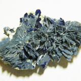 Azurite<br />Tsumeb Mine, Tsumeb, Otjikoto Region, Namibia<br />60x35x15mm<br /> (Author: Heimo Hellwig)