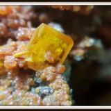 Wulfenite<br />Isfahan Province, Iran<br />4.5 mm<br /> (Author: h.abbasi)