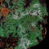 Conicalcita<br />Calicata Dolores, Pastrana, Mazarrón / Águilas, Comarca Alto Guadalentín, Región de Murcia (Murcia), España<br />4,5cm x 4cm<br /> (Autor: DPC)