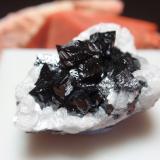 Hausmannita<br />Zona minera N'Chwaning, Kuruman, Kalahari manganese field (KMF), Provincia Septentrional del Cabo, Sudáfrica<br />25x15 mm<br /> (Autor: Ignacio)