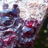 Cuprita<br />Mina Milpillas, Cuitaca, Municipio Santa Cruz, Sonora, México<br />7x4 cm<br /> (Autor: nerofis2)