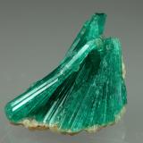 Beryl (variety emerald), Albite (variety cleavelandite)<br />Chivor mining district, Municipio Chivor, Eastern Emerald Belt, Boyacá Department, Colombia<br />20mm across<br /> (Author: Fiebre Verde)