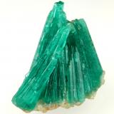 Beryl (variety emerald), Albite (variety cleavelandite)<br />Chivor mining district, Municipio Chivor, Eastern Emerald Belt, Boyacá Department, Colombia<br />20mm across<br /> (Author: Fiebre Verde)