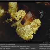 Destinezite on SideronatriteMina Coronel Manuel Rodríguez, Península Mejillones, Mejillones, Provincia Antofagasta, Región Antofagasta, Chilefov 1.4 mm (Author: ploum)