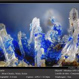 Azurite on Quartz<br />Mont Chemin, Martigny, Wallis (Valais), Switzerland<br />fov 4.4 mm<br /> (Author: ploum)