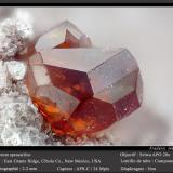 Spessartine (Garnet Group) and Quartz<br />East Grants Ridge, Cibola County, New Mexico, USA<br />fov 2.2 mm<br /> (Author: ploum)