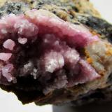 Calcita (variedad cobaltífera)Solita Mine, Peramea, Baix Pallars, Comarca Pallars Sobirà, Lérida / Lleida, Catalonia / Catalunya, SpainZona cristalizada, 4 x 2''5 cm. (Autor: phrancko)