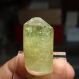 Fluorapatito<br />Mina Cerro de Mercado, Cerro de los Remedios, Victoria de Durango, Municipio Durango, Durango, México<br />15x30 mm<br /> (Autor: Ignacio)