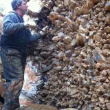 QuartzJessieville, Garland County, Arkansas, USAHuman for scale (Author: vic rzonca)