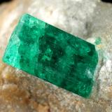 Beryl (variety emerald), Pyrite<br />Kamar Safed outcrop (Kamar Saphed), Khenj emerald area,, Khenj District, Panjshir Province, Afghanistan<br />40x28x22mm, xl=11x7mm<br /> (Author: Fiebre Verde)