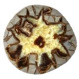 Calcite (septarian nodule)Arroyo Muddy, Orderville, Condado Kane, Utah, USA16 cm (Author: Tobi)