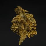 Gold<br />Serra do Caldeirão claims, Pontes e Lacerda, Alto Guaporé District, Mato Grosso, Brazil<br />3.1 x 2.2 cm<br /> (Author: am mizunaka)