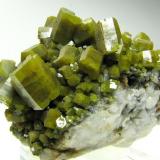 Pyromorphite<br />Mercur Mine Group (Mercur Mine), Bad Ems, Bad Ems District, Lahn Valley, Rhineland-Palatinate/Rheinland-Pfalz, Germany<br />5 cm<br /> (Author: Tobi)