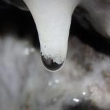 CalcitaQueralbs, Comarca Ripollès, Gerona / Girona, Catalonia / Catalunya, SpainAncho en el plano de enfoque 1,5cm (Autor: Eloi)