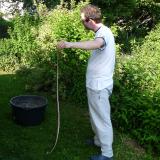 _Natrix natrix (of course a snake, not a mineral ;-)) (Author: Tobi)