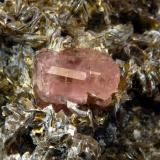Fluorapatite (Apatite Group)<br />Chumar Bakhoor, Hunza Valley, Nagar District, Gilgit-Baltistan (Northern Areas), Pakistan<br />5.9 X 7.6, crystal is 1.5 cm<br /> (Author: crosstimber)