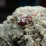 Cinabrio<br />Mina Escarlati, Puerto de las Señales, Maraña, Comarca Montaña Oriental, León, Castilla y León, España<br />30x30 mm<br /> (Autor: Ignacio)