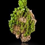 Pyromorphite<br />Daoping Mine, Gongcheng, Guilin Prefecture, Guangxi Zhuang Autonomous Region, China<br />15,0	x	9,5	x	22,0	cm<br /> (Author: MIM Museum)