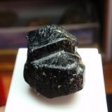 Dravita (Grupo Turmalina)<br />Brasil<br />22x25 mm<br /> (Autor: Ignacio)