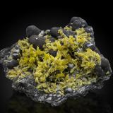 Pyromorphite on Coronadite<br />Broken Hill South Mine, Broken Hill, Yancowinna County, New South Wales, Australia<br />8,0	x	7,0	x	2,5	cm<br /> (Author: MIM Museum)
