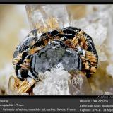 Hematite with Rutile<br />Vallon de la Valette, La Lauzière Massif, Saint-Jean-de-Maurienne, Savoie, Auvergne-Rhône-Alpes, France<br />fov 7 mm<br /> (Author: ploum)