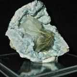 Millerite and Calcite on Quartz (variety chalcedony)<br />State Route 37 road cuts, Harrodsburg, Clear Creek Township, Monroe County, Indiana, USA<br />Geode is 7 cm. The millerite spray is 4cm<br /> (Author: Bob Harman)