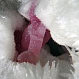 Calcita (variedad cobaltífera)Solita Mine, Peramea, Baix Pallars, Comarca Pallars Sobirà, Lérida / Lleida, Catalonia / Catalunya, SpainAncho en el plano de enfoque 1,5cm (Autor: Eloi)