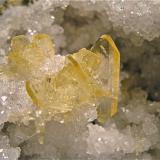Barite on Quartz<br />State Route 37 road cuts, Harrodsburg, Clear Creek Township, Monroe County, Indiana, USA<br />The barite grouping is 4.2cm the largest double terminated crystal is 2.5cm. The quartz geode is 10 cm.<br /> (Author: Bob Harman)