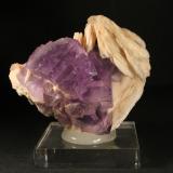 Fluorita y Barita<br />La Cabaña, Valdelmar, zona minera de Berbes, Berbes, Ribadesella, Comarca Oriente, Principado de Asturias (Asturias), España<br />7 x 6 cm. (Cristal mayor: 2,3 cm).<br /> (Autor: Darío Menéndez)