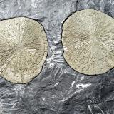 PiritaSparta, Randolph County, Illinois, USA32 x 22 cm (Autor: nerofis2)