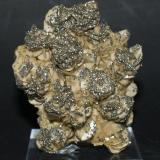 Siderite with Pyrite<br />Chojñacota Mine, Loayza Province, La Paz Department, Bolivia<br />65mm  x  55mm<br /> (Author: Philippe Durand)