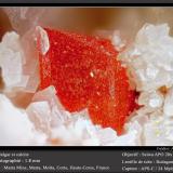 Realgar and Calcite<br />Matra Mine, Matra, Ghisonaccia, Corte, Haute-Corse, Corsica/Corse, France<br />fov 1.8 mm<br /> (Author: ploum)