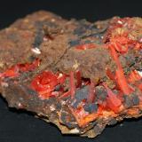 Crocoite<br />Dundas, Zeehan District, West Coast Council, Tasmania, Australia<br />60mm x 40mm x20mm<br /> (Author: Philippe Durand)