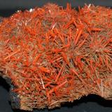 Crocoite<br />Adelaide Mine, Dundas mineral field, Zeehan District, West Coast Council, Tasmania, Australia<br />85mm x 80mm x 45mm<br /> (Author: Philippe Durand)