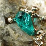 Beryl (variety emerald), Albite (variety cleavelandite), Dolomite, Pyrite<br />Chivor mining district, El Acuario Mine, Municipio Chivor, Eastern Emerald Belt, Boyacá Department, Colombia<br />50x56x36mm, xl=5mm<br /> (Author: Fiebre Verde)