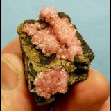 Rhodocrosite<br />N'Chwaning II Mine, N'Chwaning mining area, Kuruman, Kalahari manganese field (KMF), Northern Cape Province, South Africa<br />39 x 28 x 14 mm<br /> (Author: Pierre Joubert)