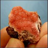 RhodocrositeMina N'Chwaning II, Zona minera N'Chwaning, Kuruman, Kalahari manganese field (KMF), Provincia Septentrional del Cabo, Sudáfrica33 x 30 x 21 mm (Author: Pierre Joubert)