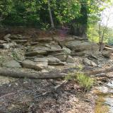 _Rocky beaches on a southern Indiana lakeshore (Author: Bob Harman)